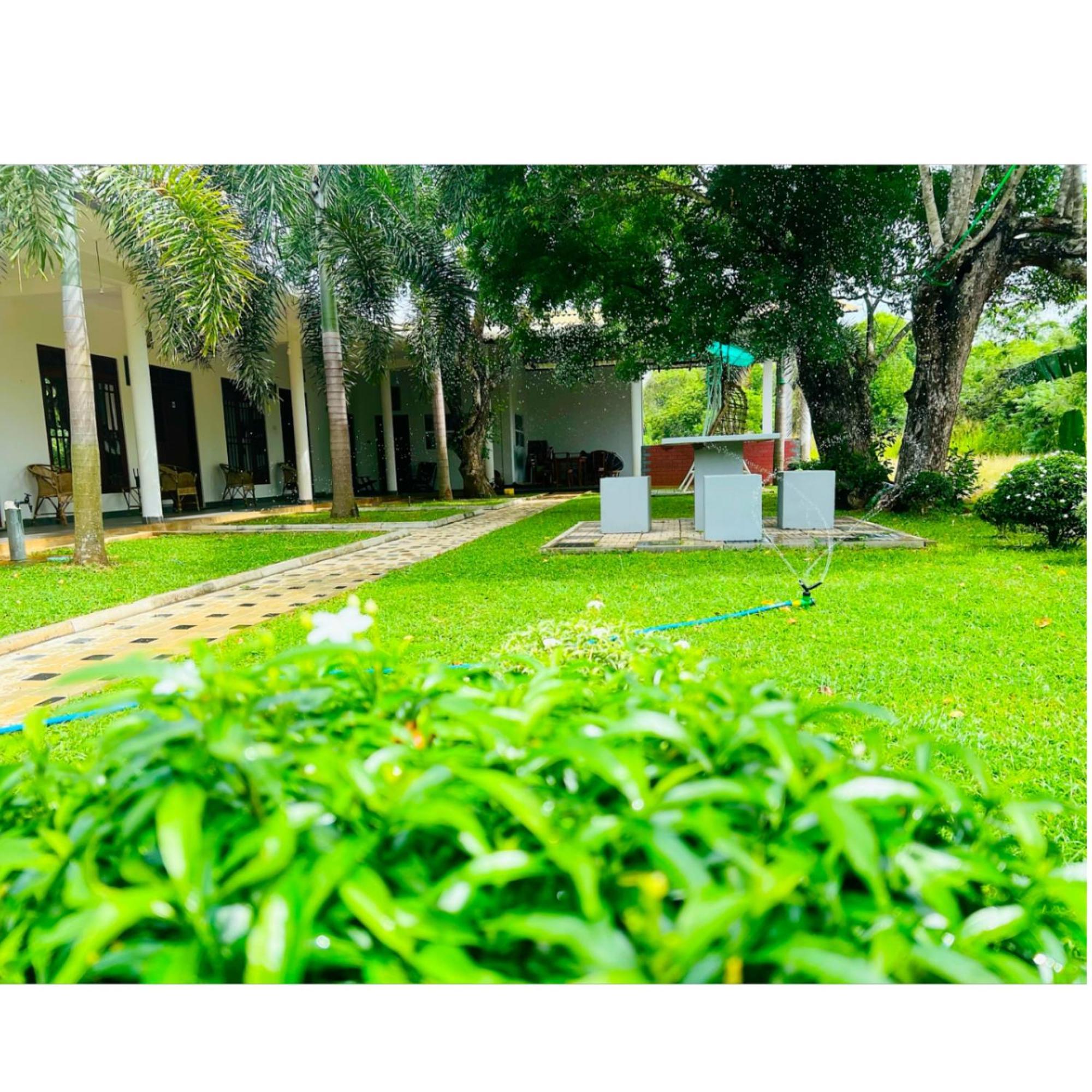 Homestay Garden